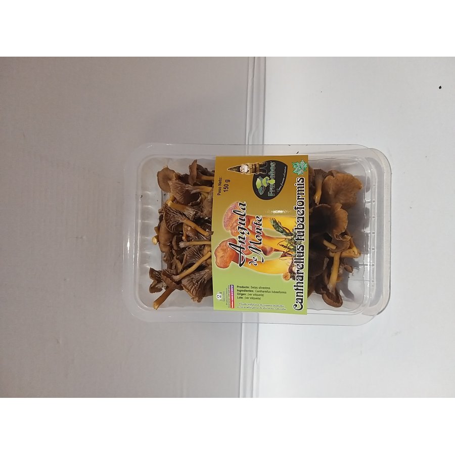 Seta silvestre angula de monte marrón bandeja 150 g