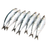 Sardina pequeña (parrocha) kilo