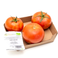 Tomate ensalada ecológico calibre 57/67mm+ bandeja 600 g
