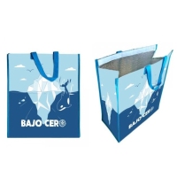 Bolsa isotérmica 37x18x30