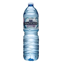 Agua sin gas FONTECELTA botella 1,5 l