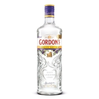 Ginebra GORDON'S botella 70 cl