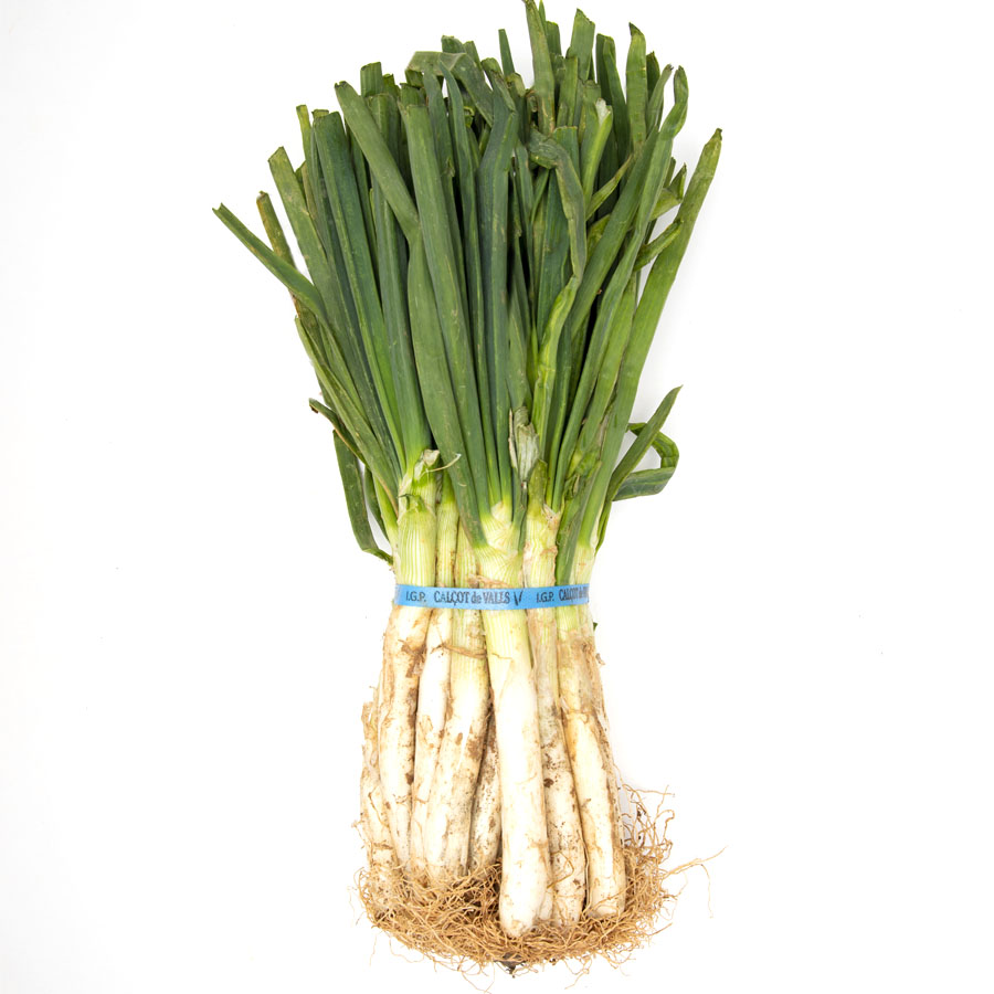 Calçots (25 piezas) manojo