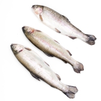 Truchas (acuicultura) kilo