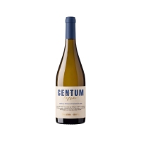 Vino blanco D.O.Ribeiro CENTUM TERRAE godello-treixadura botella 75 cl