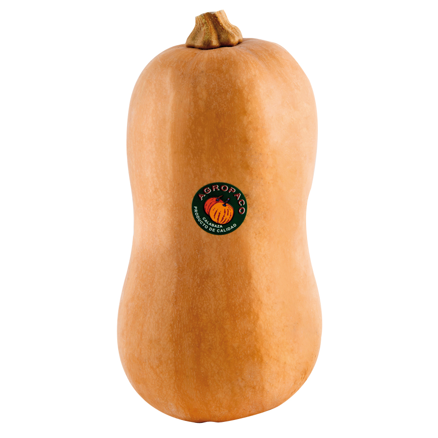 Calabaza violín entera categoría 1ª (longitud 25cm p.min 1kg) kilo