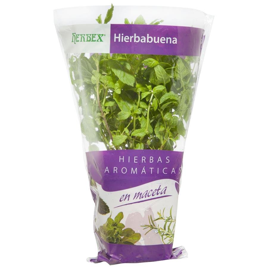 Hierbabuena ecológica (p.min 25g tallo min 19cm) maceta