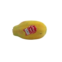 Papaya premium gold calibre 6/8 unidad