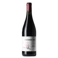Vino tinto D.O.Bierzo HACIENDA SAEL mencía botella 75 cl