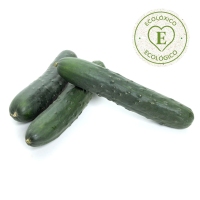 Pepino ecológico categoría 1ª unidad (150-380 g)