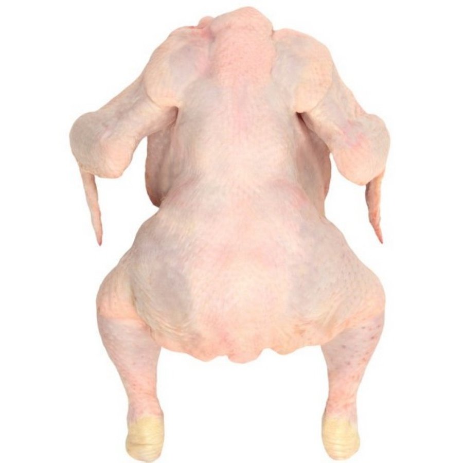 Pollo de campo OBLANCA kilo