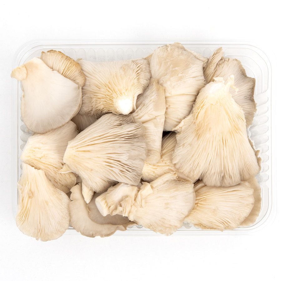 Setas categoría 1ª calibre 60/140mm bandeja 400 g