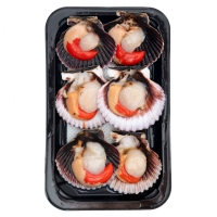 Vieira Pacífico grande bandeja 6 unidades (250 g aproximado)