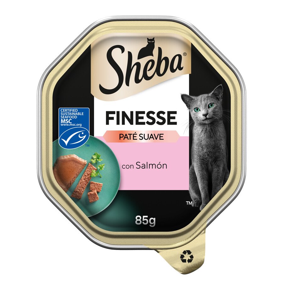 Alimento para gatos SHEBA Finesse paté salmón 85 g