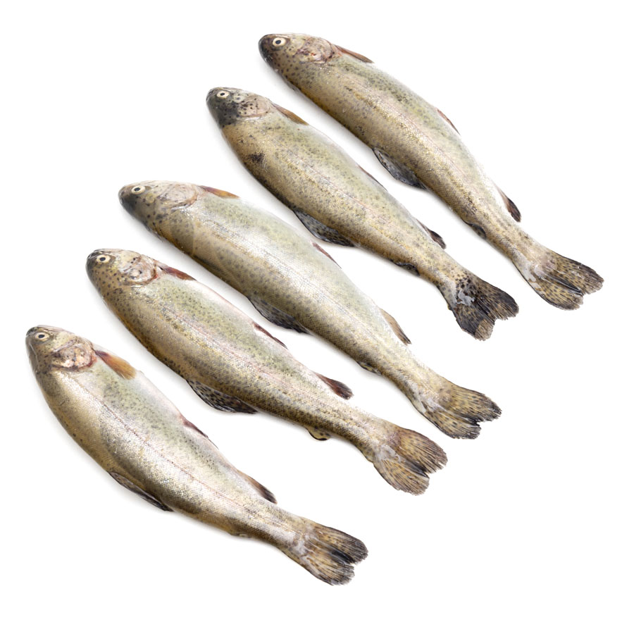 Truchita (acuicultura) kilo