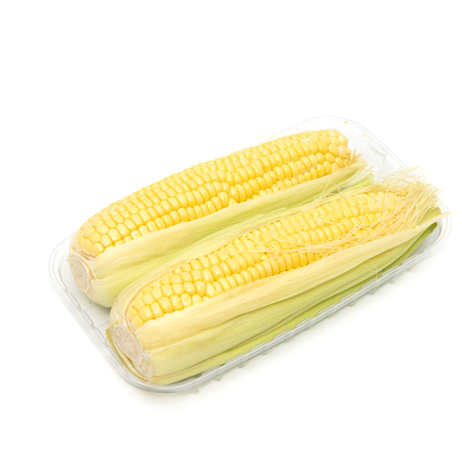 Maíz fresco super dulce mazorcas kilo