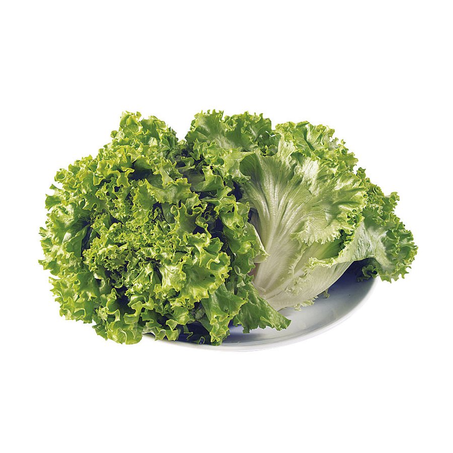 Lechuga rizada categoría 1ª (peso mínimo 250 g) unidad