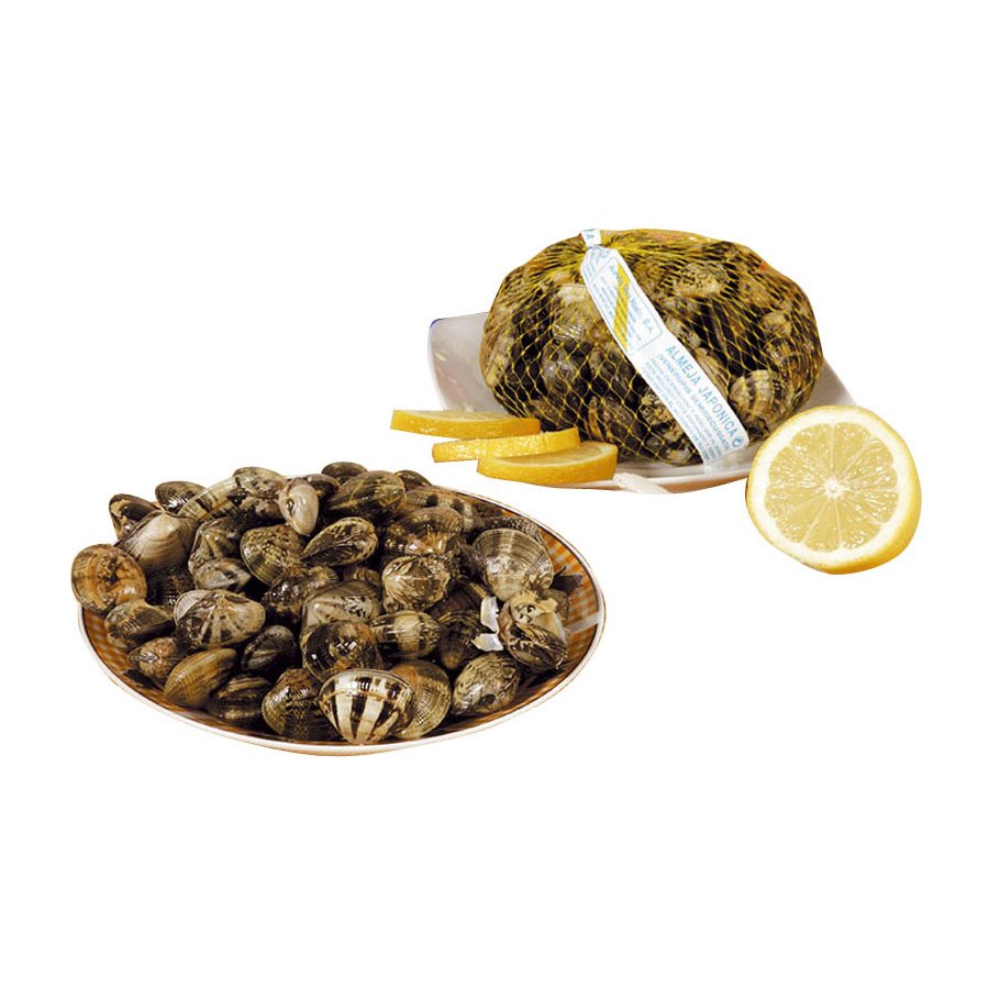 Almeja japonesa kilo