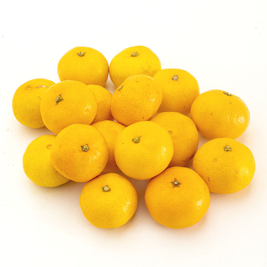 Mandarina Satsuma categoría 1ª calibre (58/69) kilo