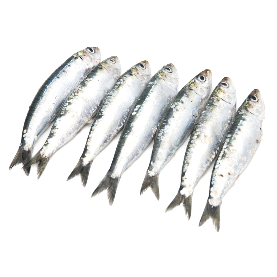 Imagen de Sardina pequeña (parrocha) kilo