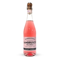 Viño rosado Lambrusco UN SORSO D'ITALIA botella 75 cl