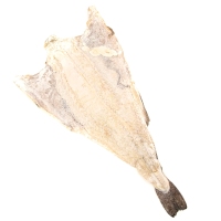 Hoja bacalao 8/12 (+4kg/pieza) OUTON kilo