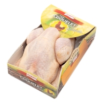 Polo coquelet COREN bandexa unidade