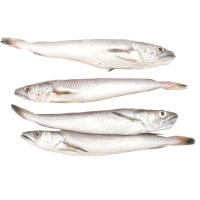 Pescada (carioca) pechada quilo