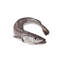 Merluza volanta 1-2 kilo