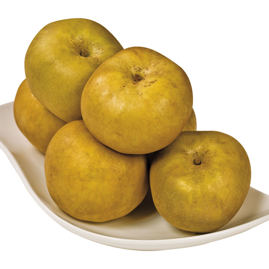 Manzana reineta parda del Bierzo C-80/90 mm kilo