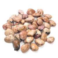 Ameixa vermella quilo