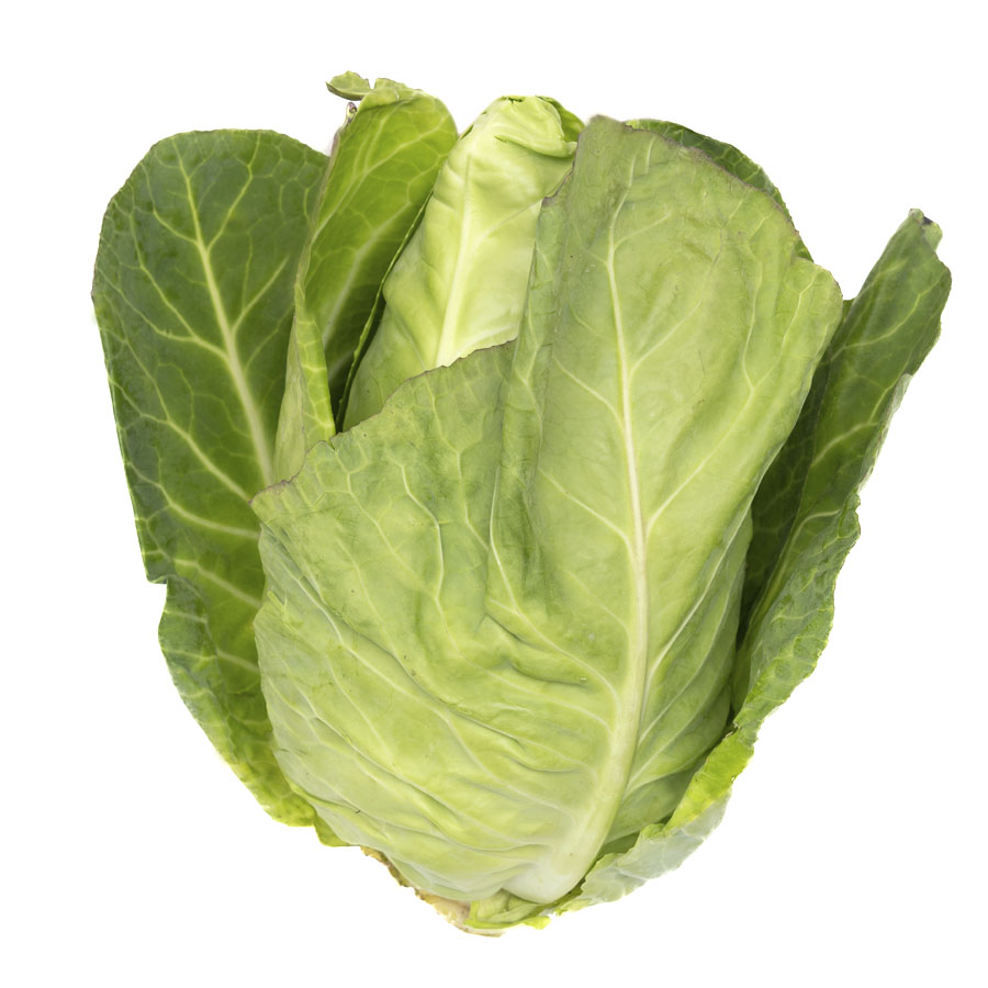 Repollo corazón ecológico categoría 1ª ( p.min 700-1000g) unidad