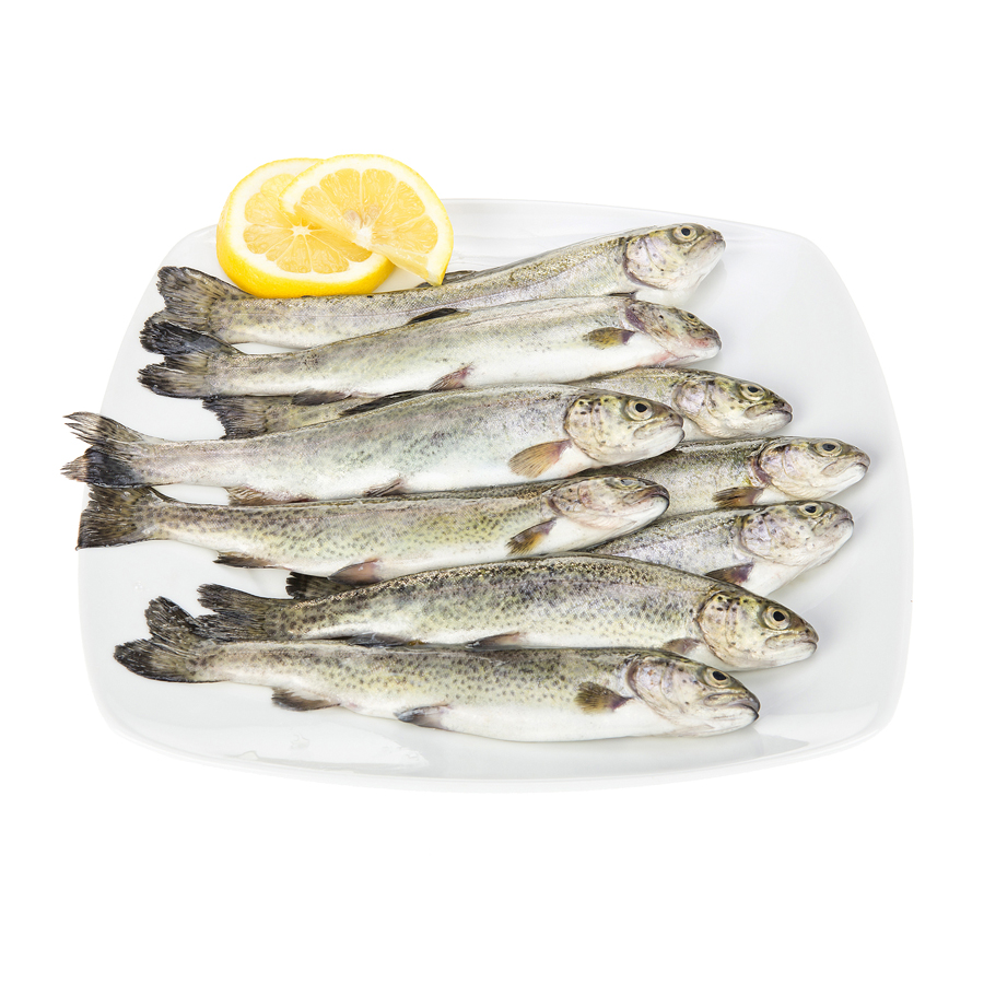 Truchita (acuicultura) kilo