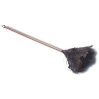 Plumeiro avestruz BEBE nº5