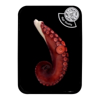 Pata pulpo cocido extra REY DEL PULPO bandeja 220 g aproximado