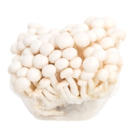 Cogomelos Shimeji brancos categoría 1ª bandexa 150 g