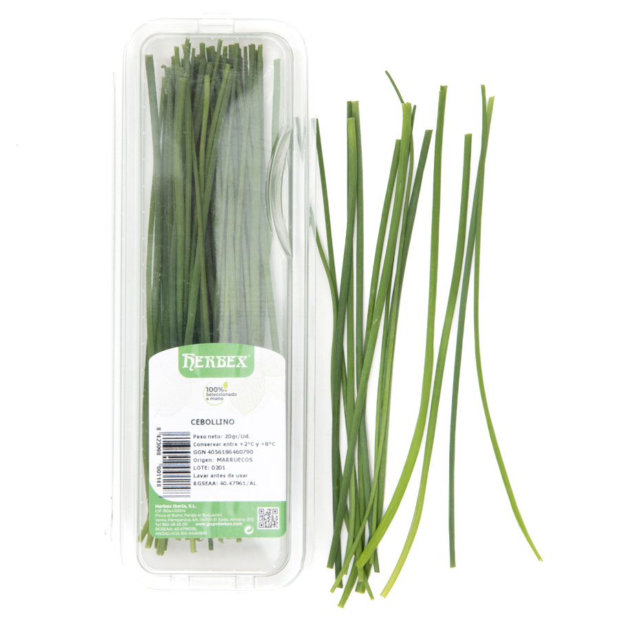 Cebollino manojo