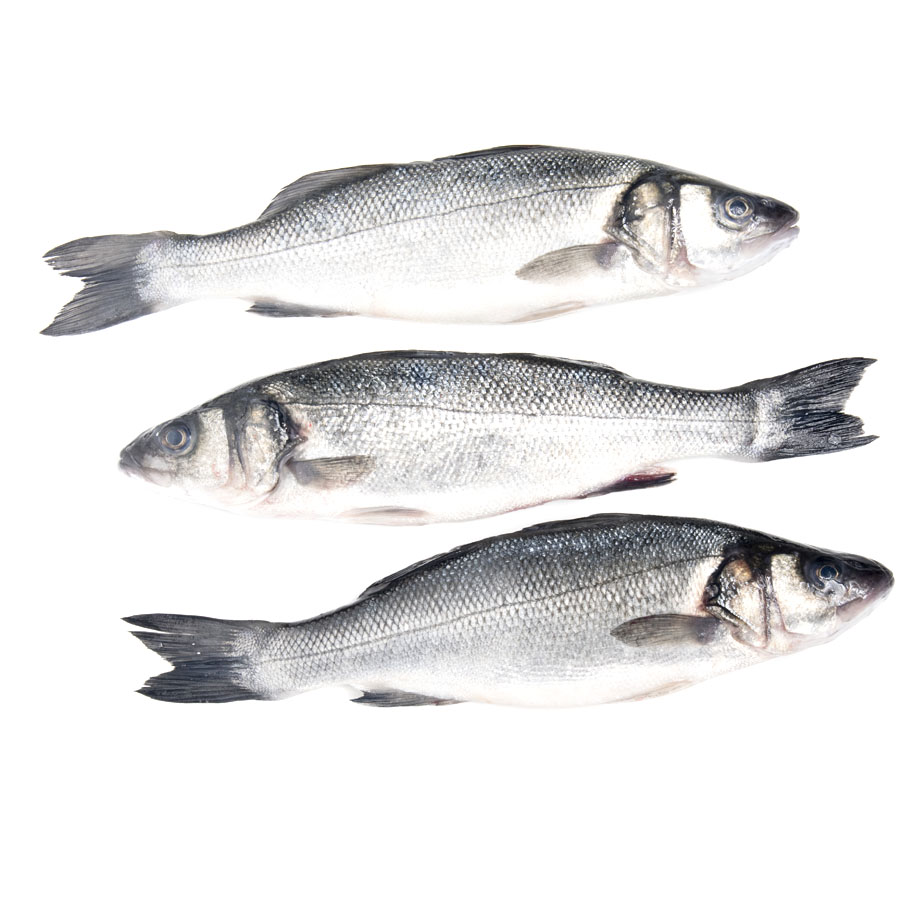 Lubina acuicultura pieza (300-400 g)