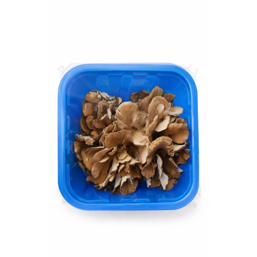 Setas Maitake categoría 1ª bandeja 150 g