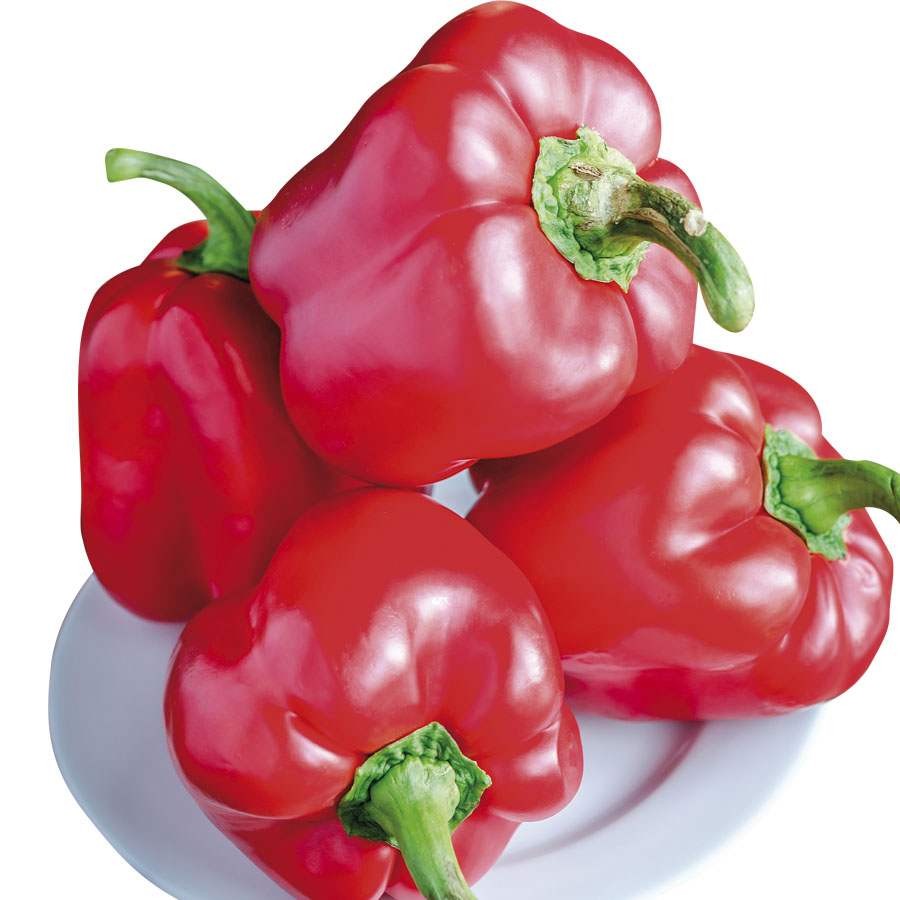 Pimiento rojo ecológico (200-300 g) unidad