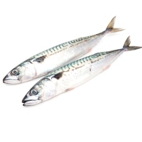 Caballa (xarda) kilo