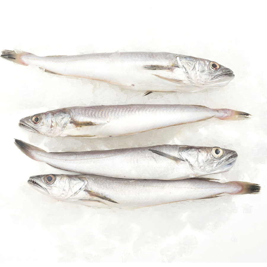Merluza (pescadilla) cerrada kilo