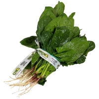 Espinacas categoría 1ª (peso mínimo 300 g) manojo
