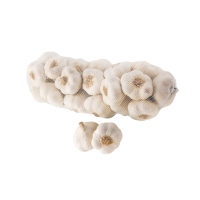 Ajo blanco calibre 62/80mm bolsa 2 kg