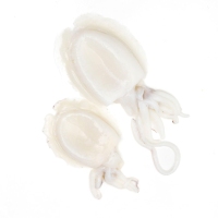 Choco pelado/sepia kilo