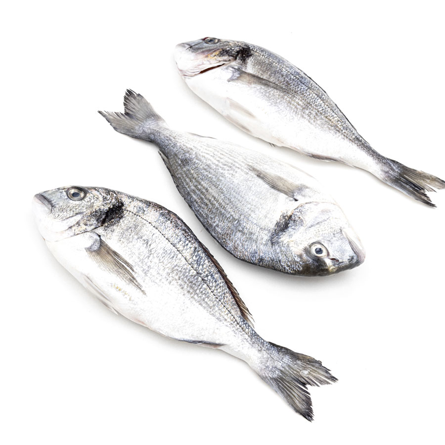 Dorada acuicultura pieza (300-400 g)