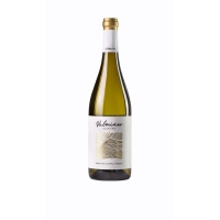 Vino blanco D.O.Rías Baixas VALMIÑOR albariño botella 75 cl