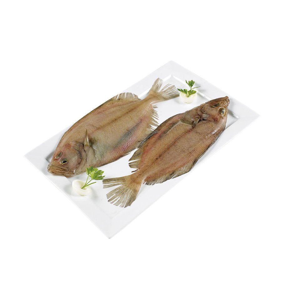 Gallo (ración) kilo