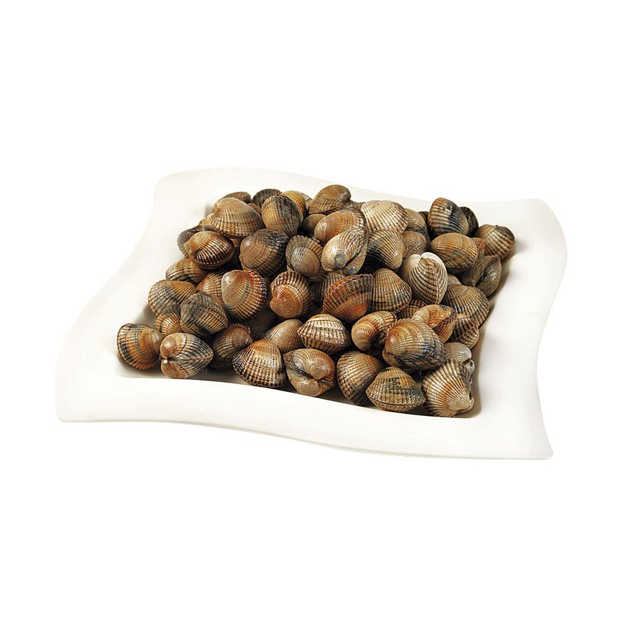 Berberecho gordo kilo