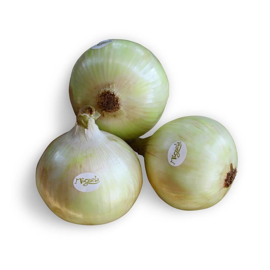 Cebolla dulce calibre 80/105mm kilo